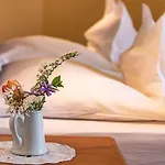 Gutshaus Mecklenburgische Seenplatte Mueritz 3*