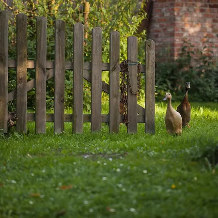 Gutshaus Mecklenburgische Seenplatte Müritz Hotel 3*
