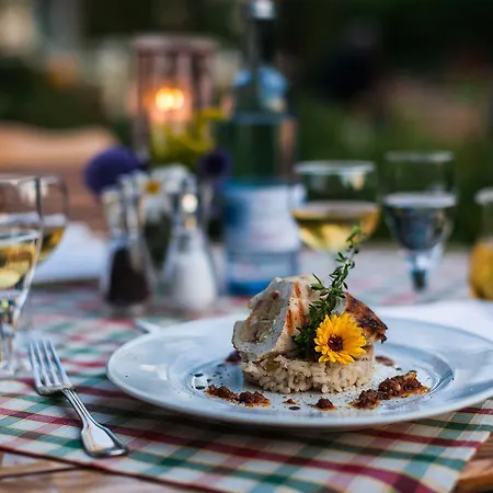 Hotel Gutshaus Mecklenburgische Seenplatte Müritz